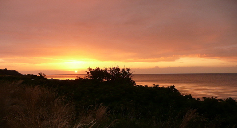 NetObjects Fusion 2015